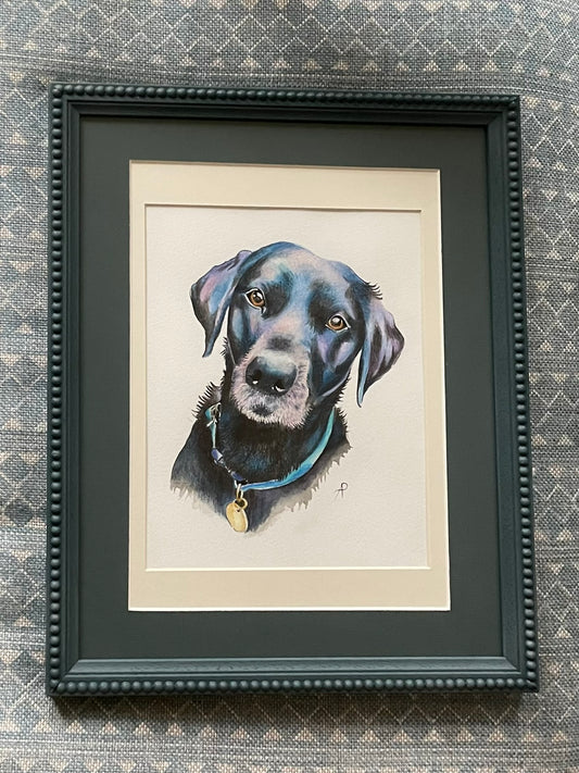 Pet Portrait Commission
