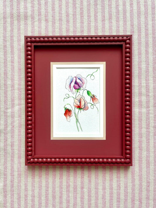 Ada - 10x8 Sweet Pea Watercolour and Ink