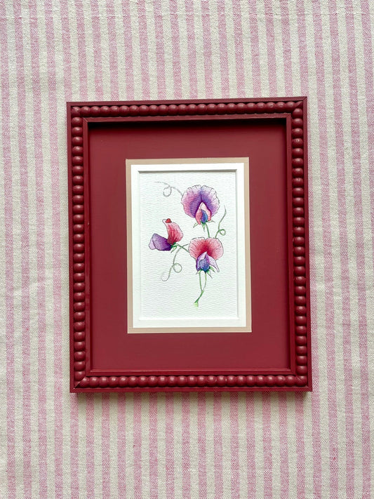 Lucia - 10x8 Sweet Pea Watercolour and Ink