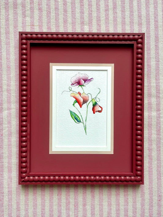 June - 10X8 Sweet Pea Watercolour and Ink