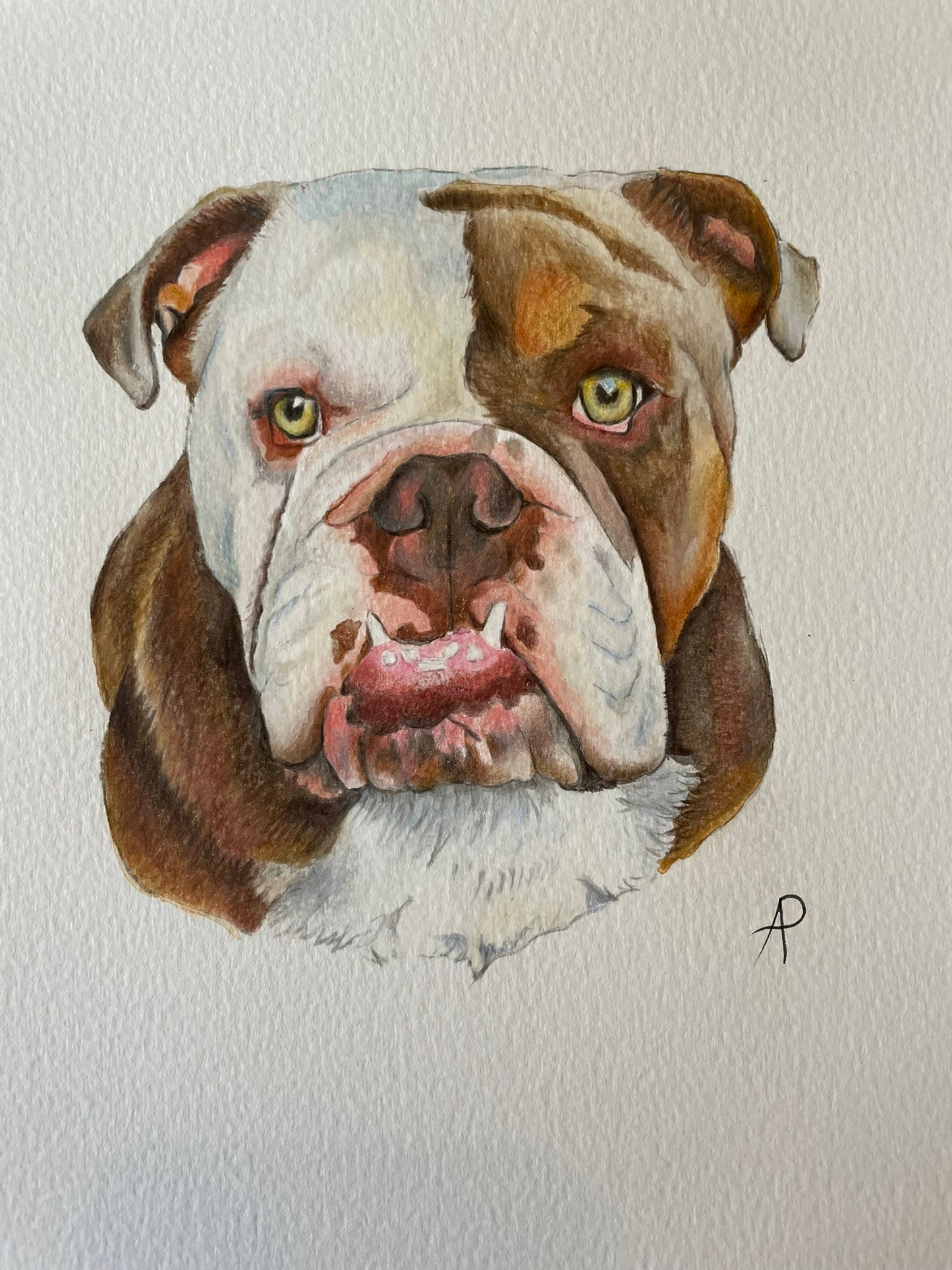 Pet Portrait Commission