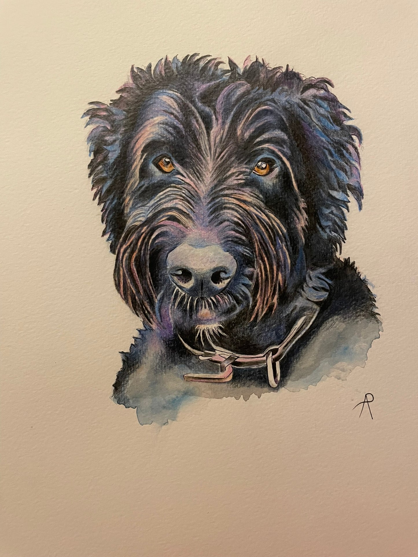 Pet Portrait Commission