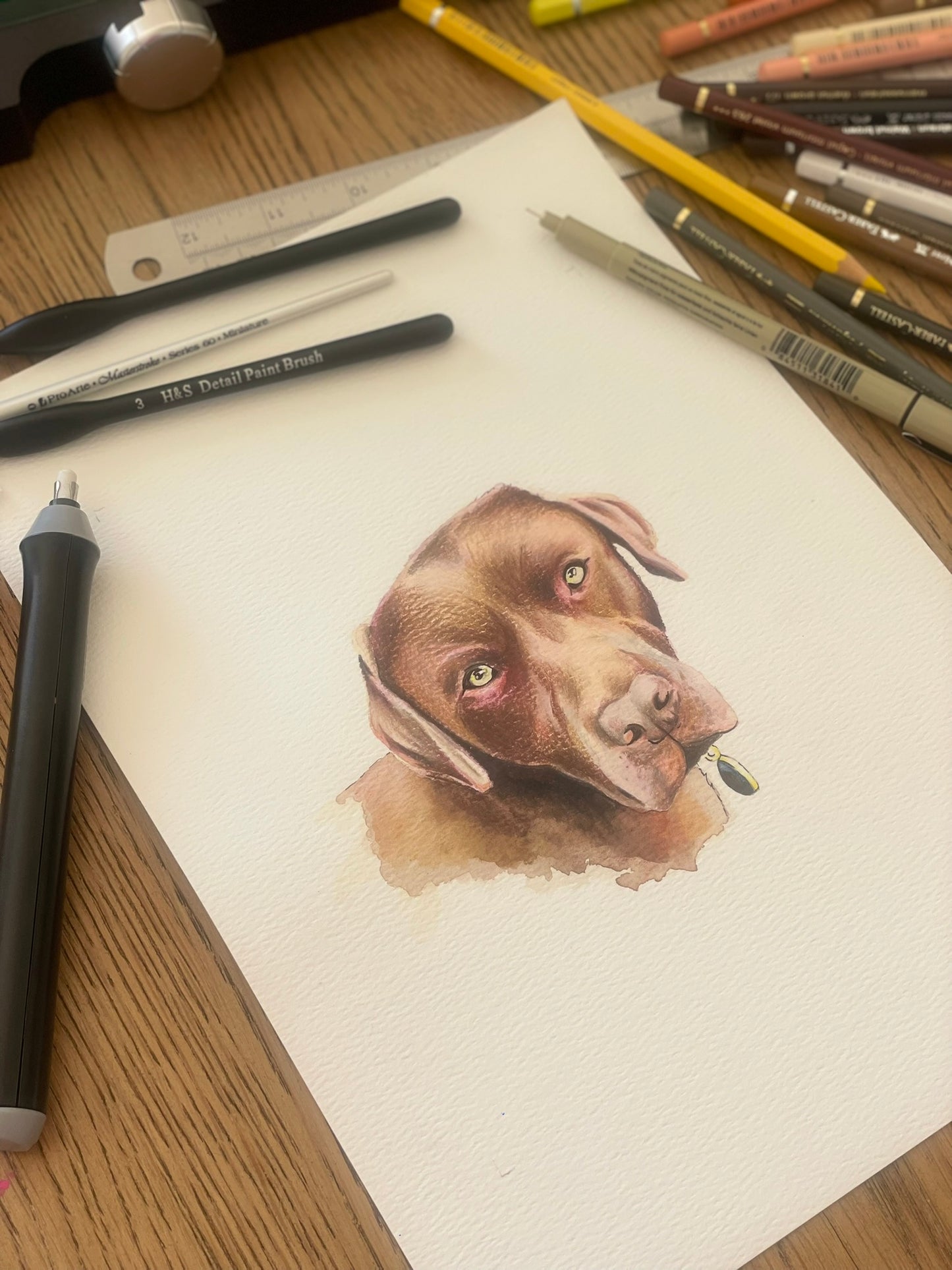 Pet Portrait Commission