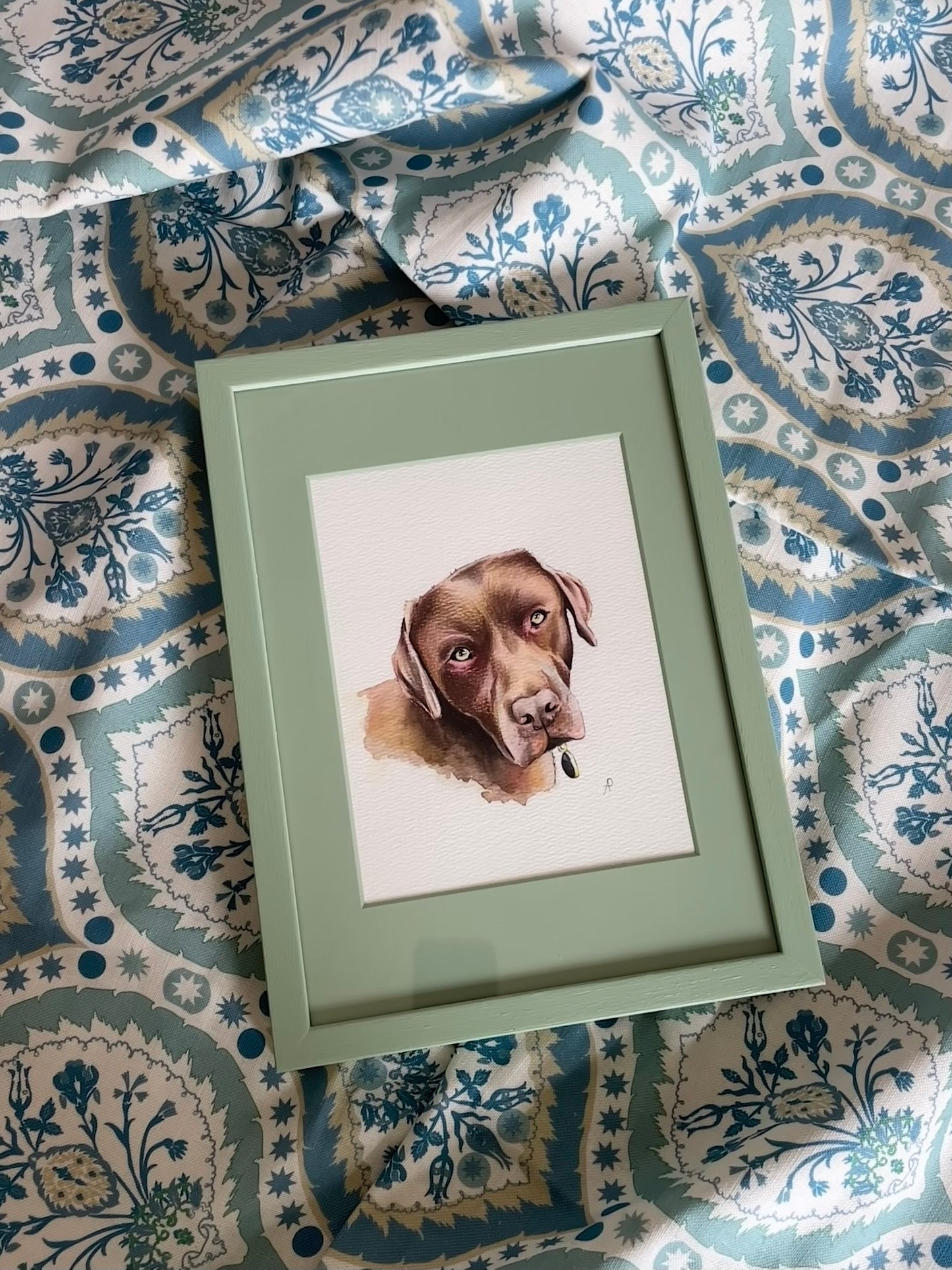 Pet Portrait Commission